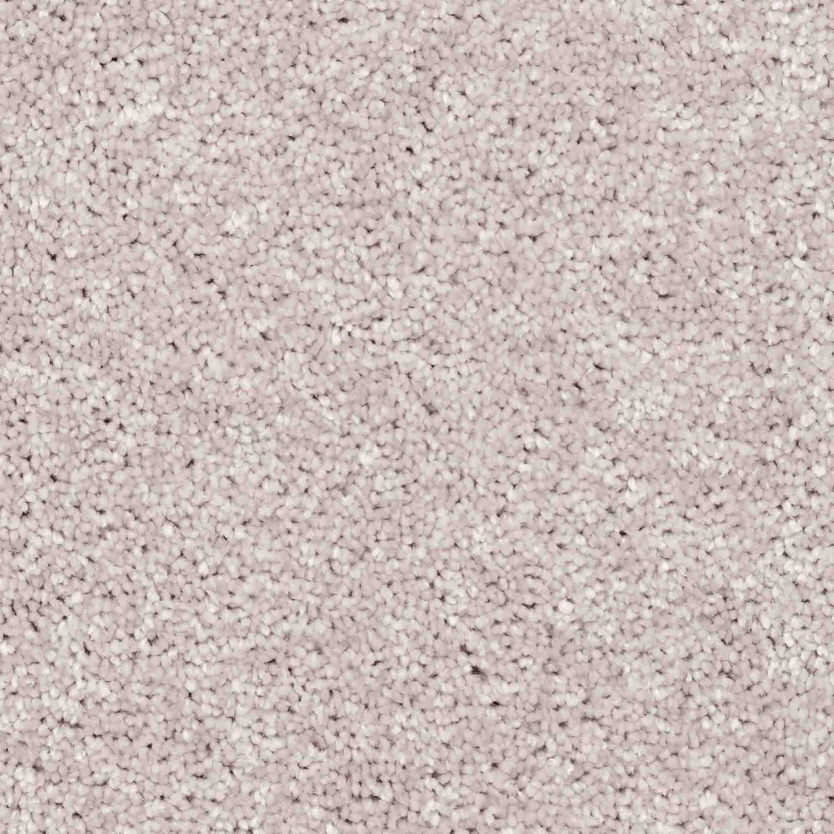 Aria Carpet