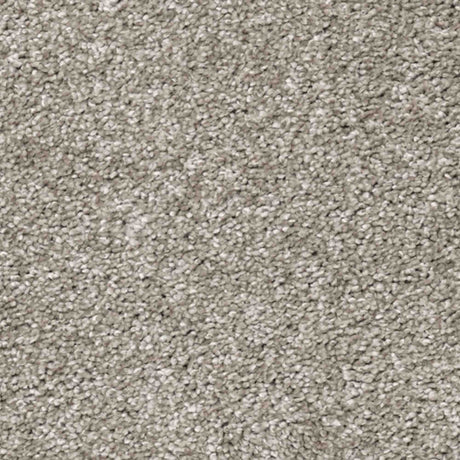 Aria Carpet
