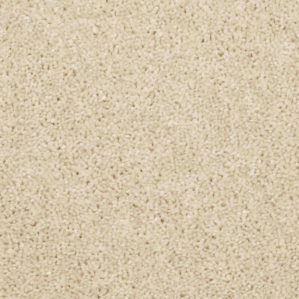 Aria Carpet