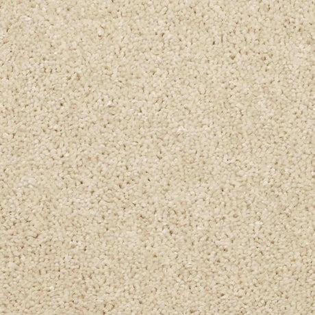 Aria Carpet