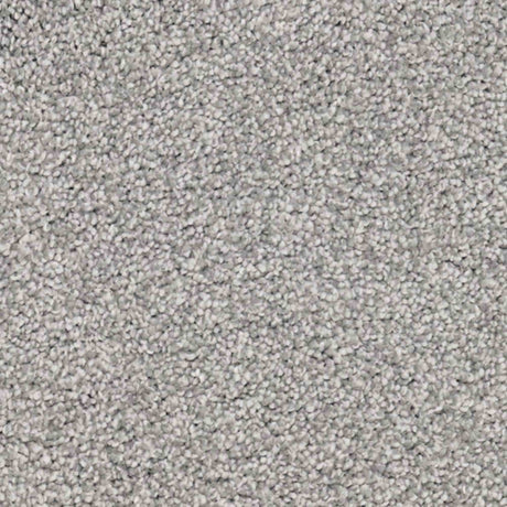 Aria Carpet