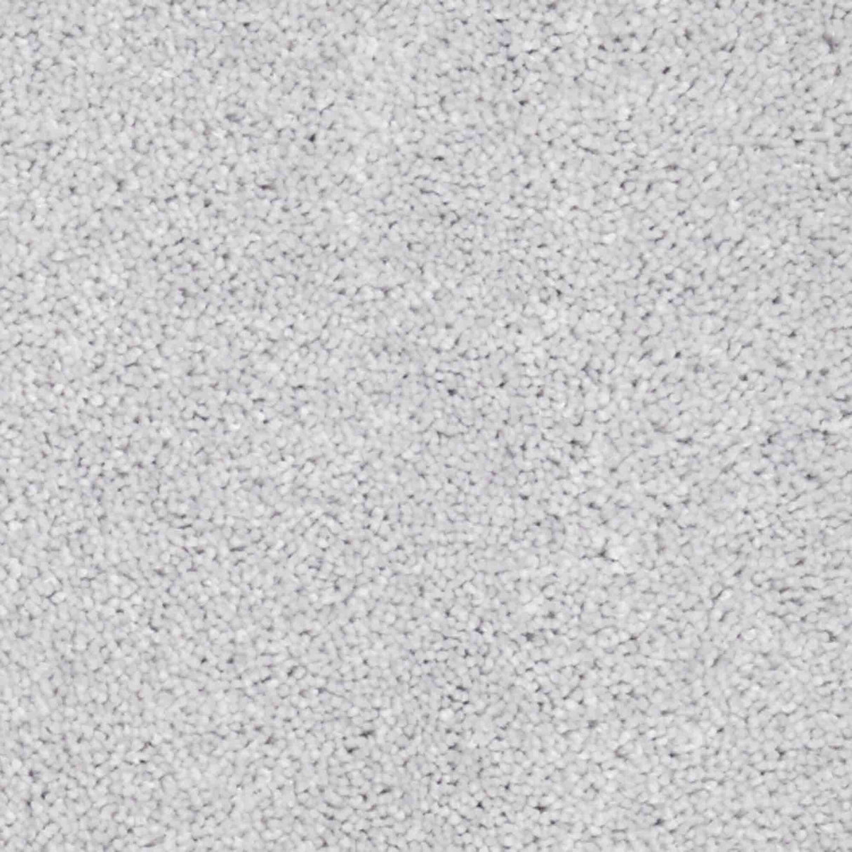 Aria Carpet