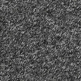 Atlas Carpet