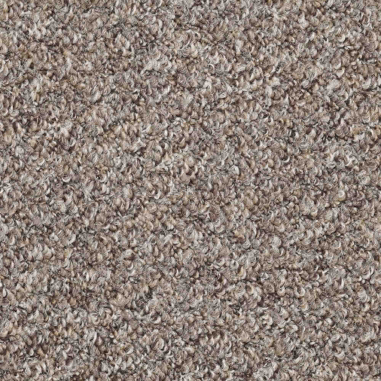Atlas Carpet