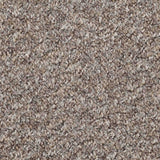 Atlas Carpet