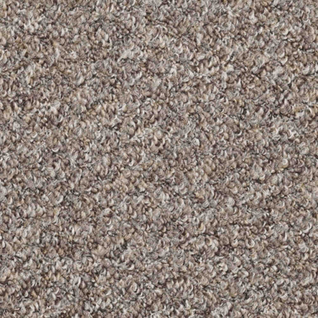 Atlas Carpet