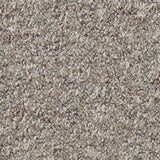 Atlas Carpet