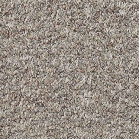 Atlas Carpet