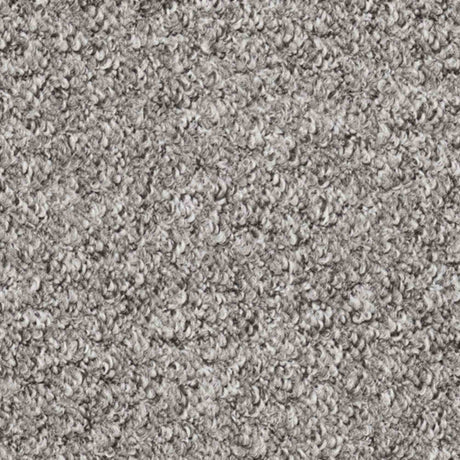 Atlas Carpet