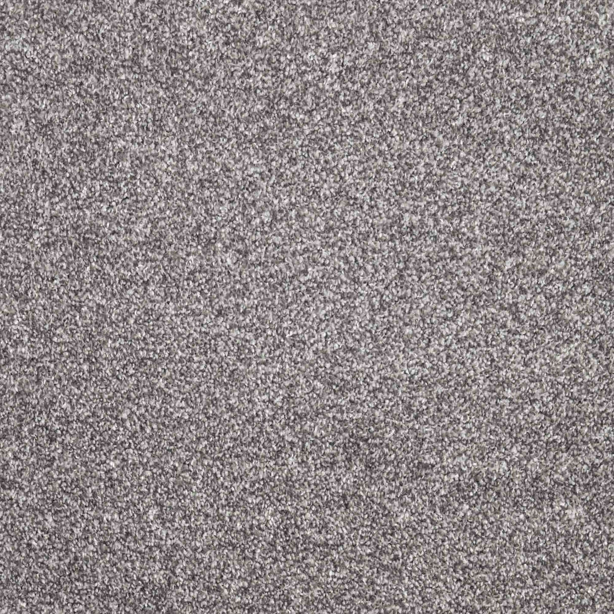Charme Carpet