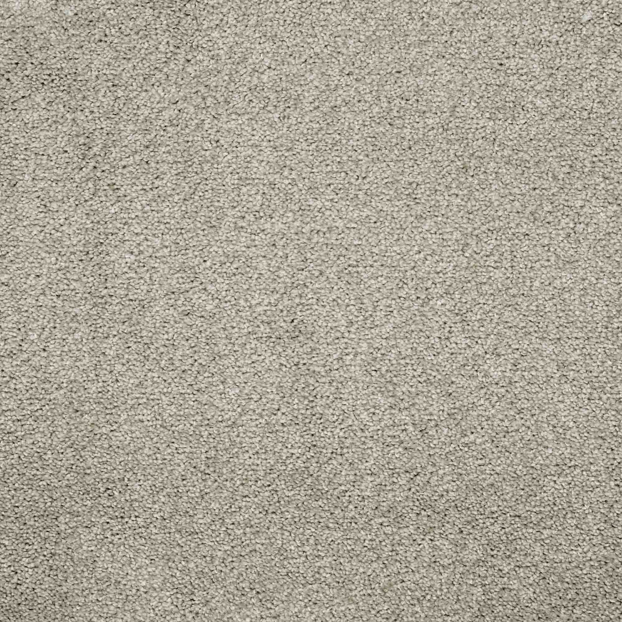 Charme Carpet