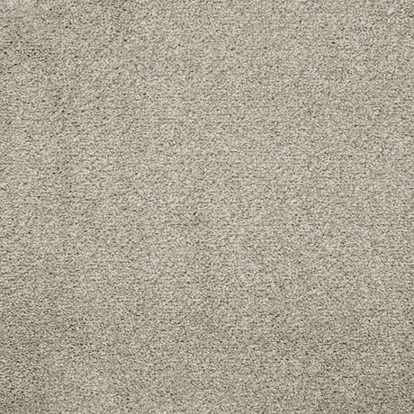 Charme Carpet