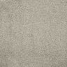 Charme Carpet