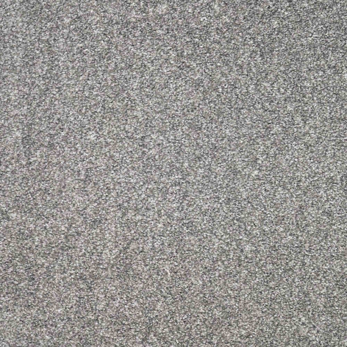 Charme Carpet