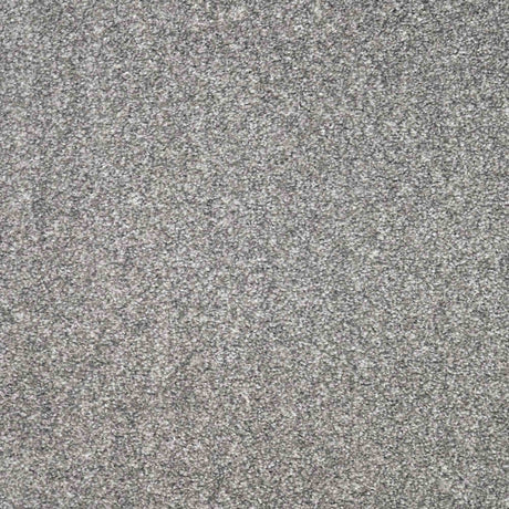 Charme Carpet