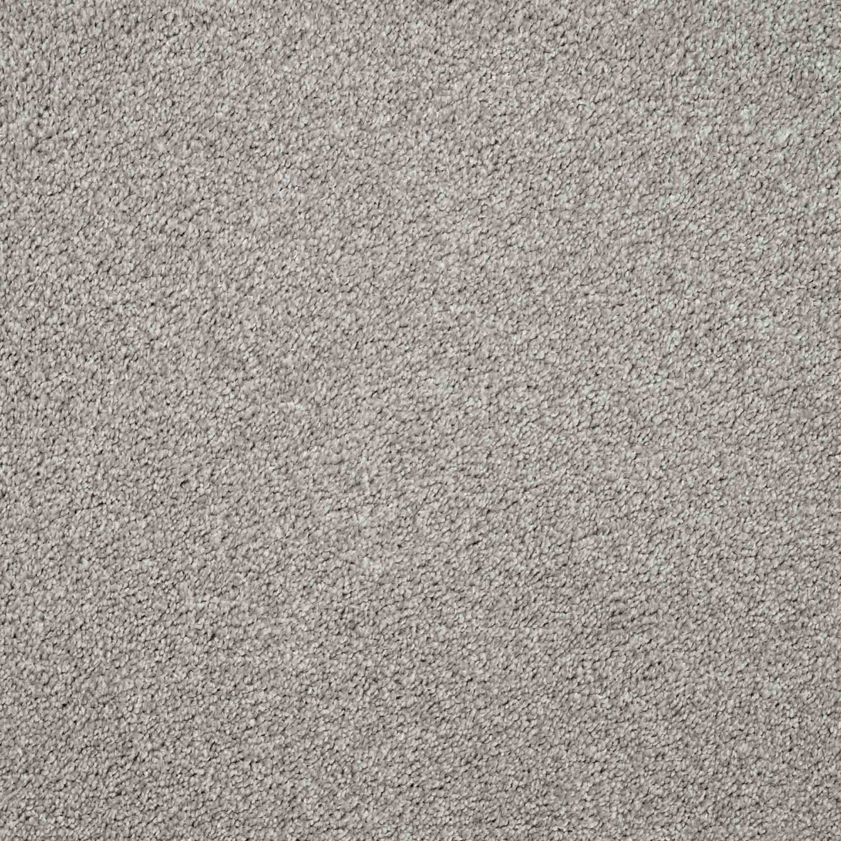 Charme Carpet