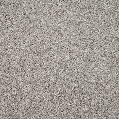 Charme Carpet