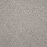 Charme Carpet