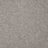 Charme Carpet