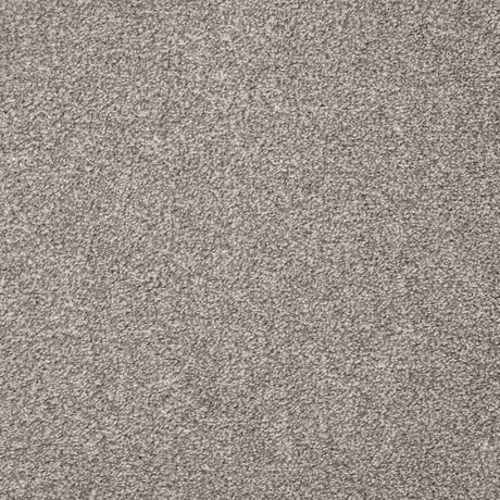 Charme Carpet