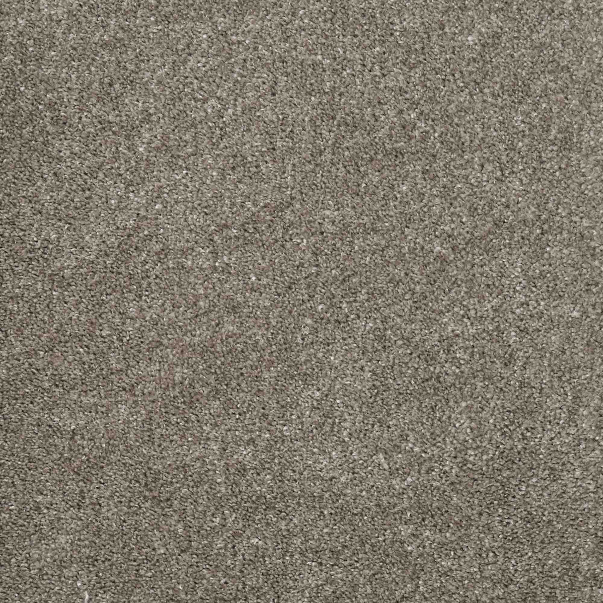 Charme Carpet
