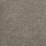 Charme Carpet
