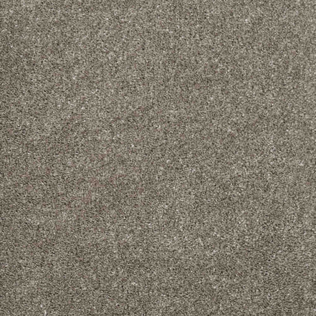 Charme Carpet