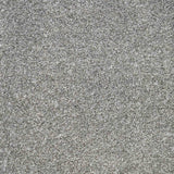 Charme Carpet