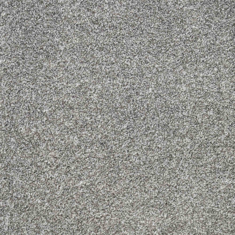 Charme Carpet