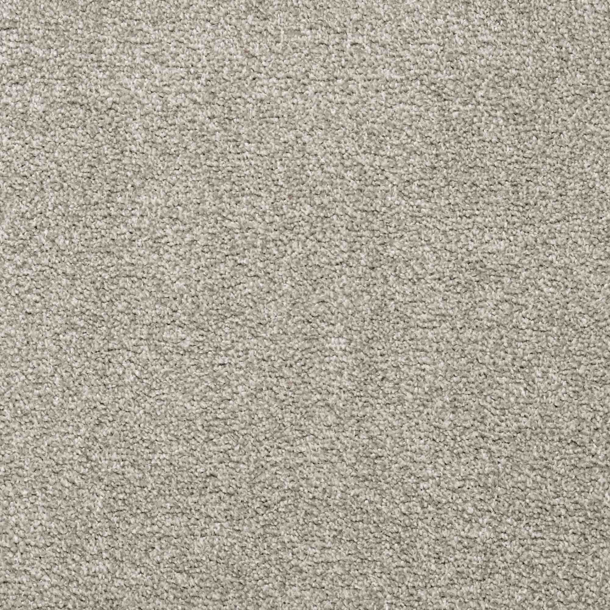 Charme Carpet