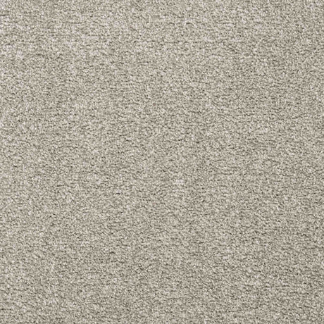 Charme Carpet