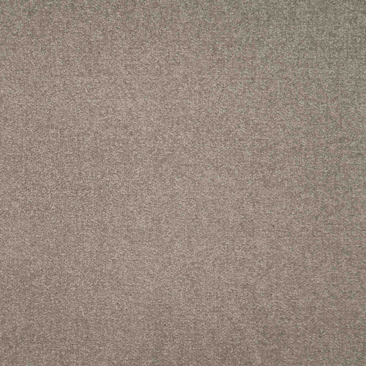 Chiltern Heathers Carpet