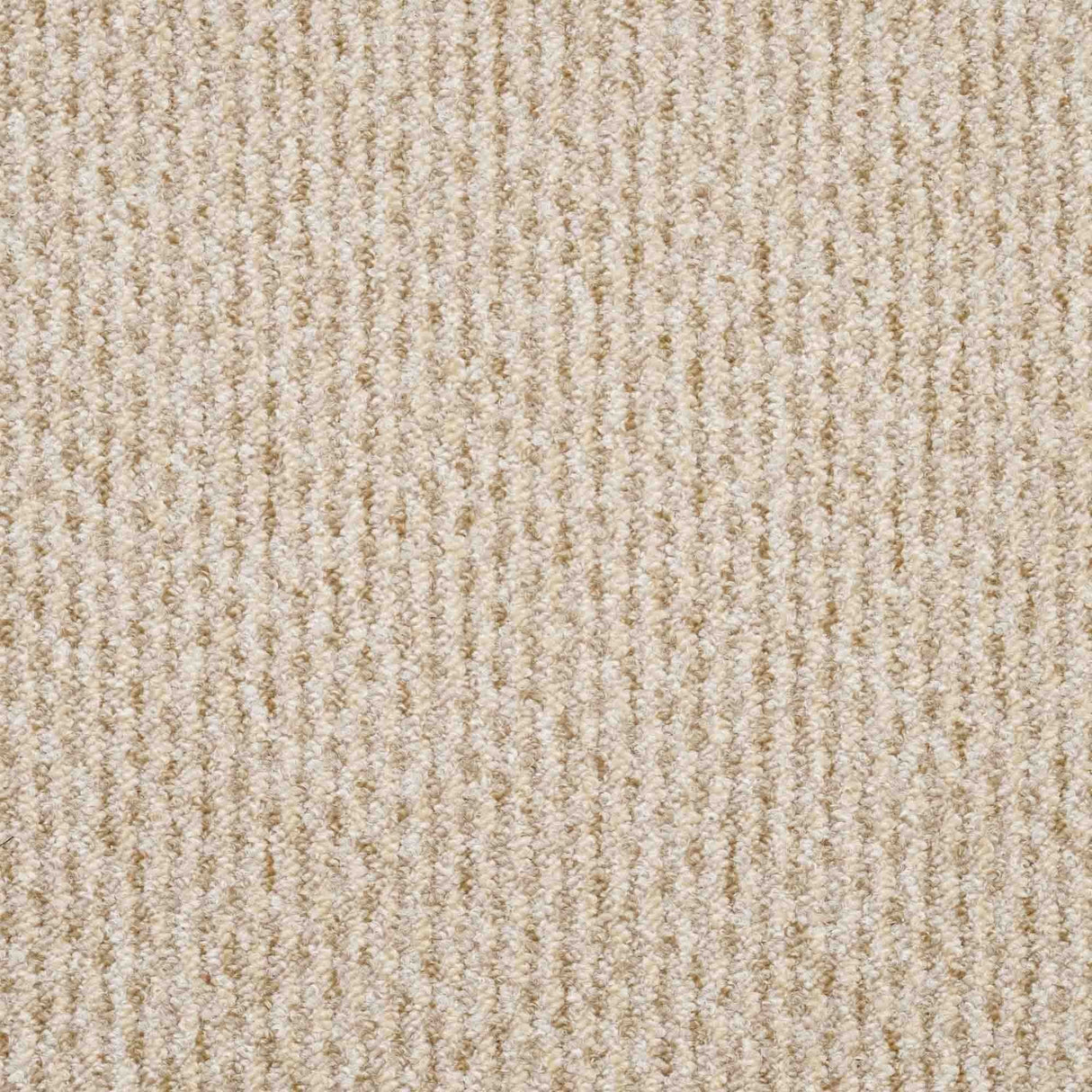 Dakar Carpet