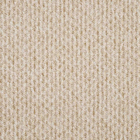 Dakar Carpet