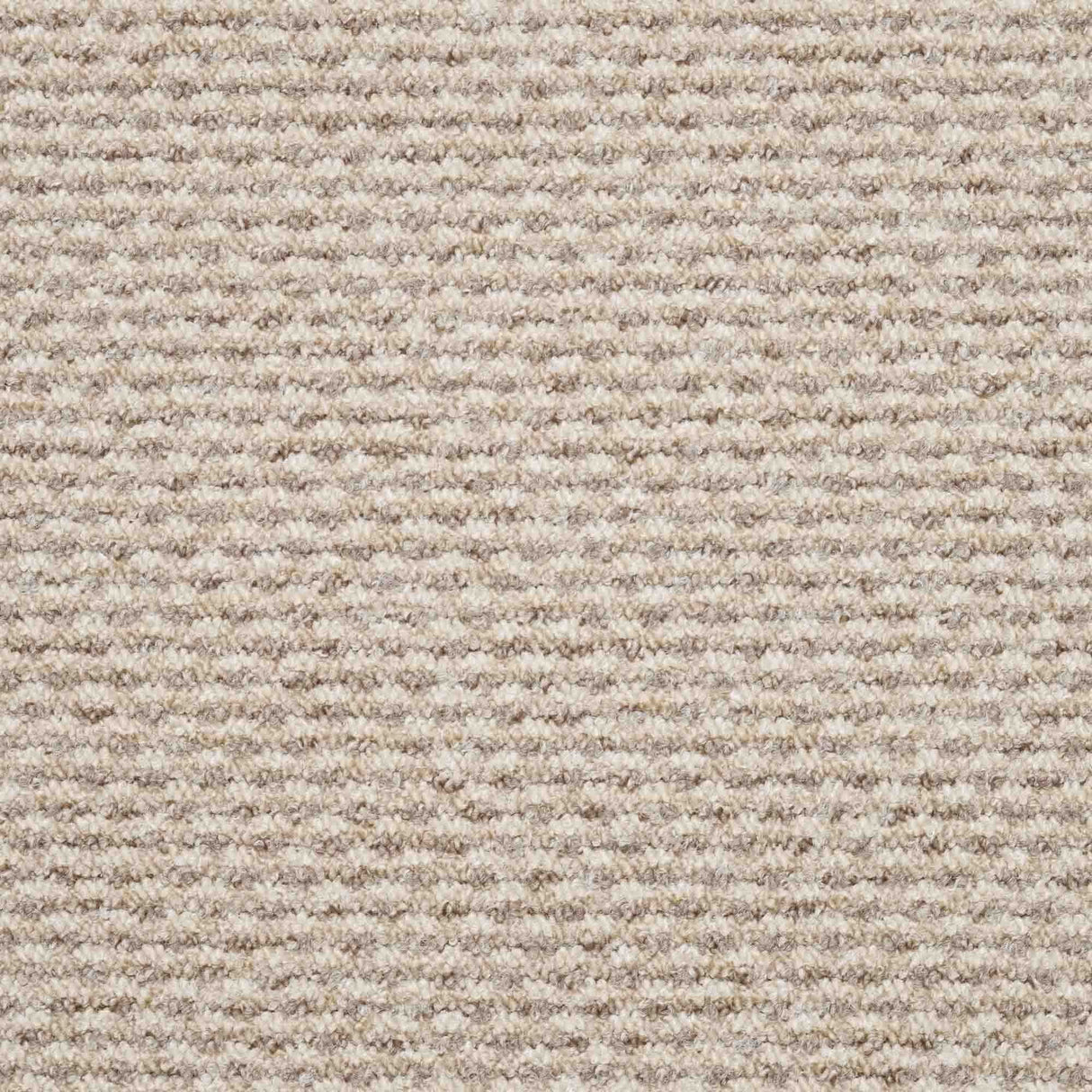 Dakar Carpet