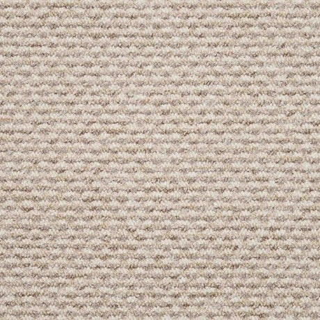 Dakar Carpet