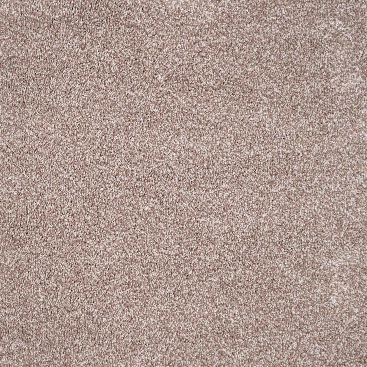 Duchesse Carpet