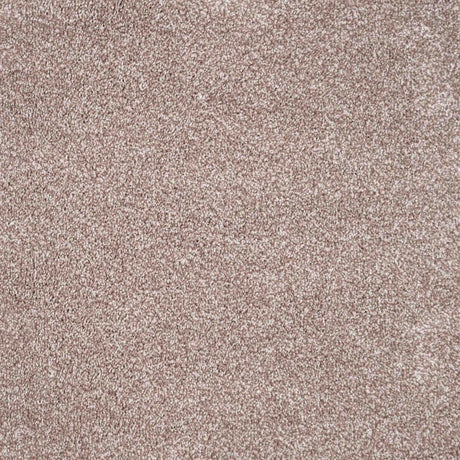 Duchesse Carpet