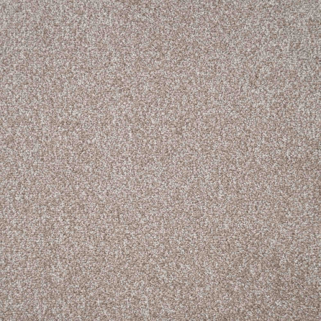 Duchesse Carpet