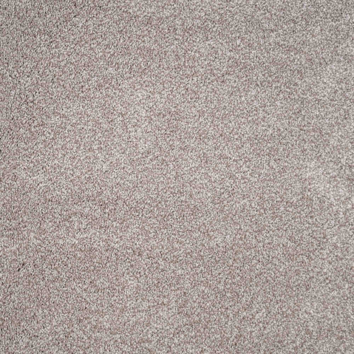 Duchesse Carpet