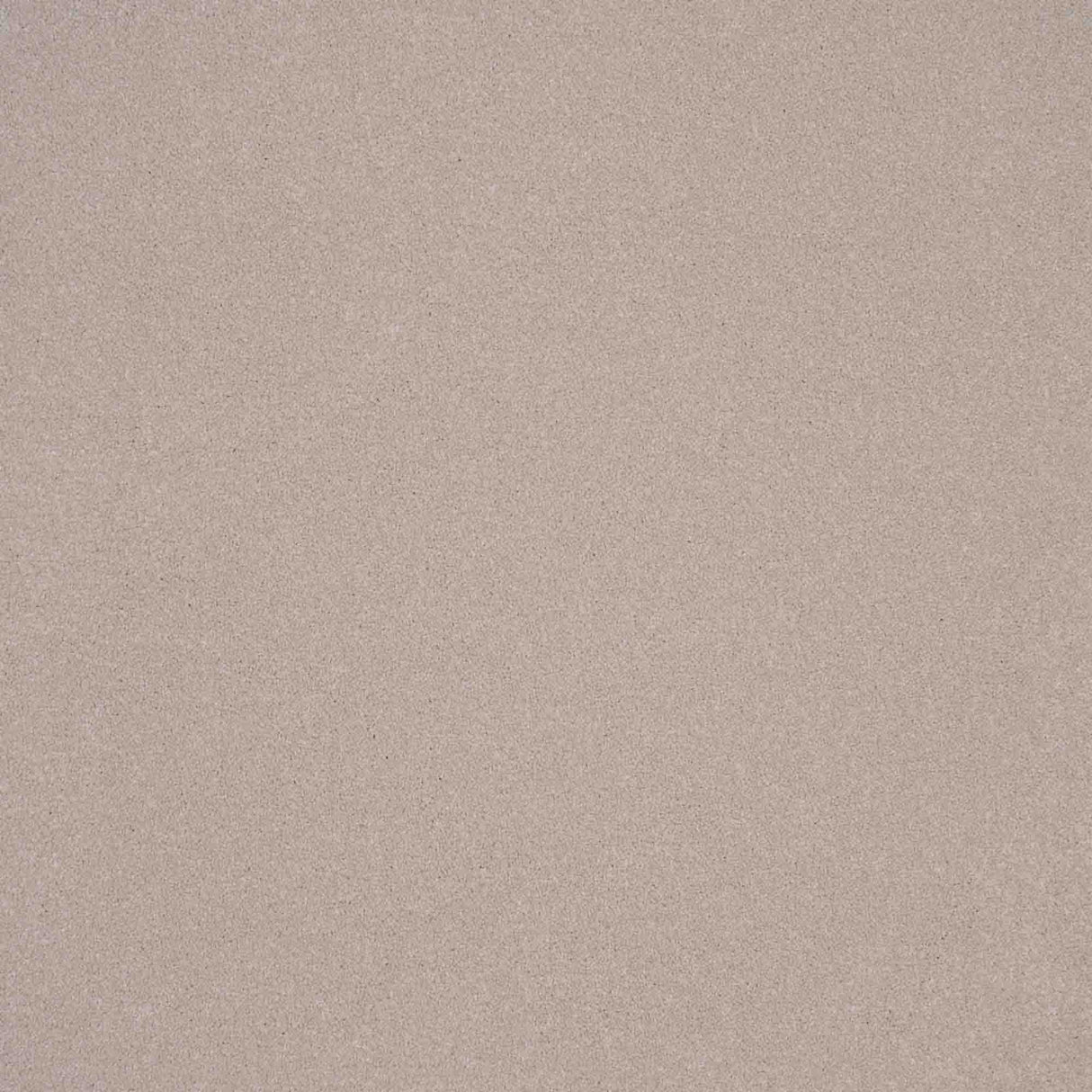 Elegance Carpet