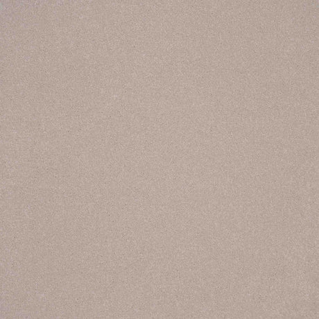 Elegance Carpet