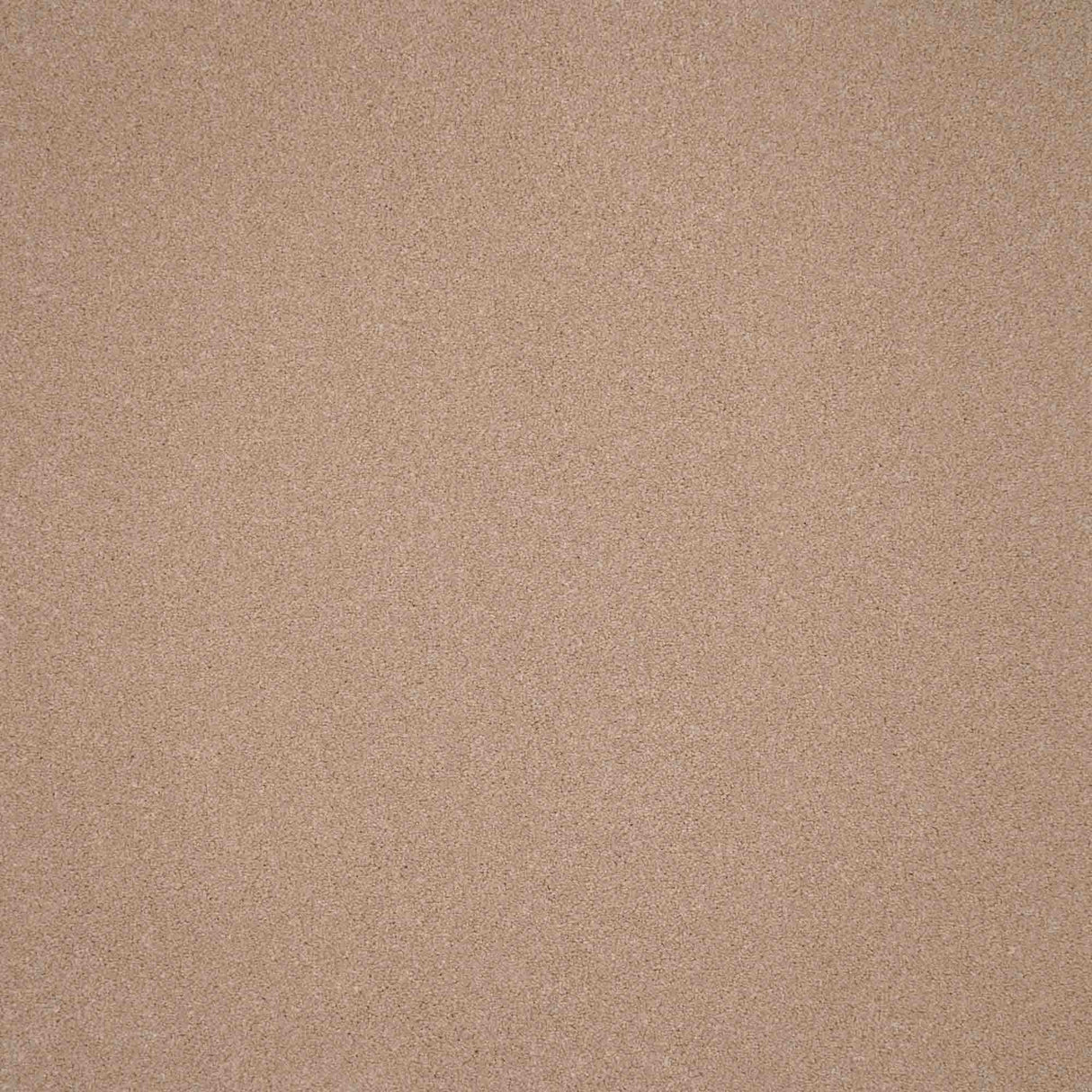 Elegance Carpet