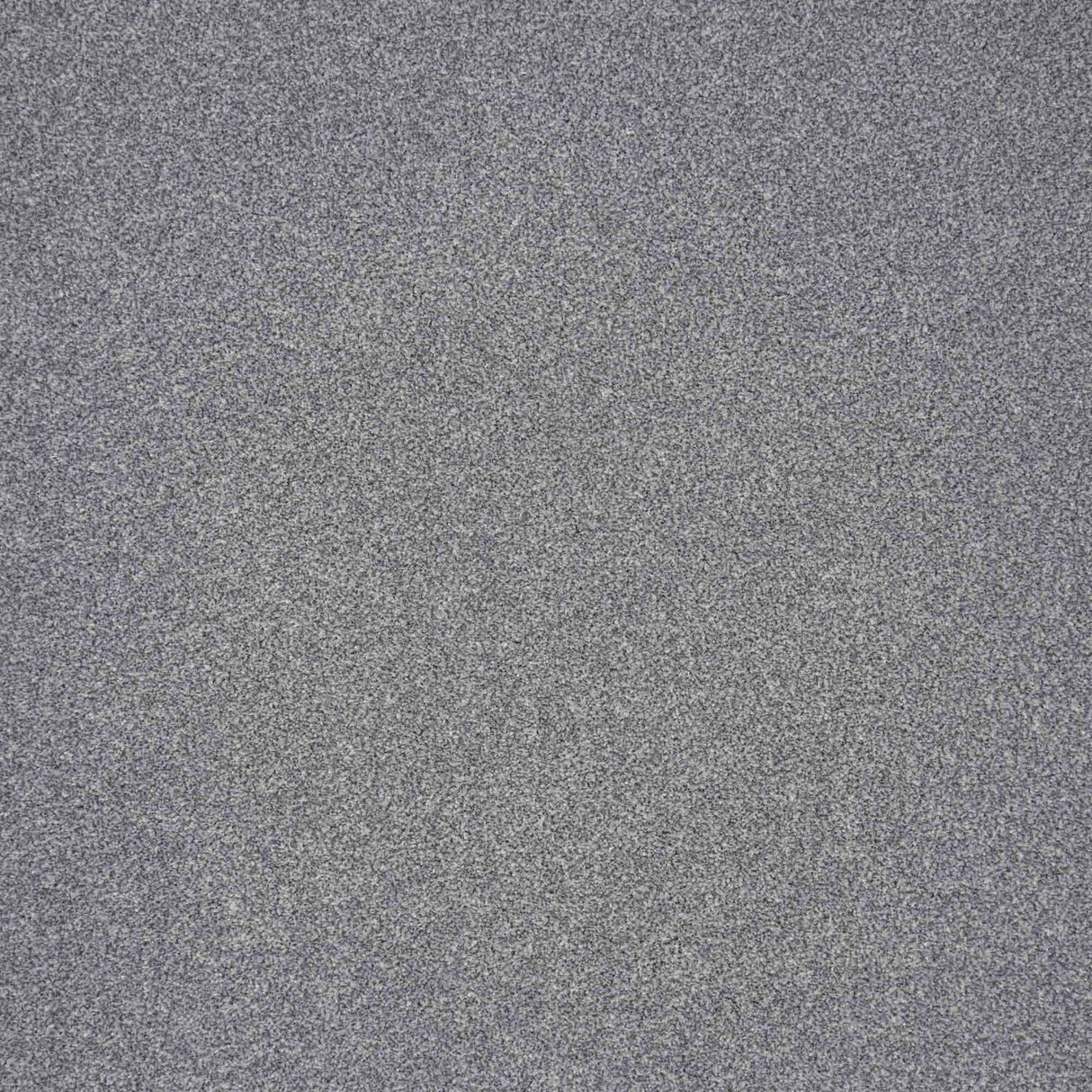 Elegance Carpet