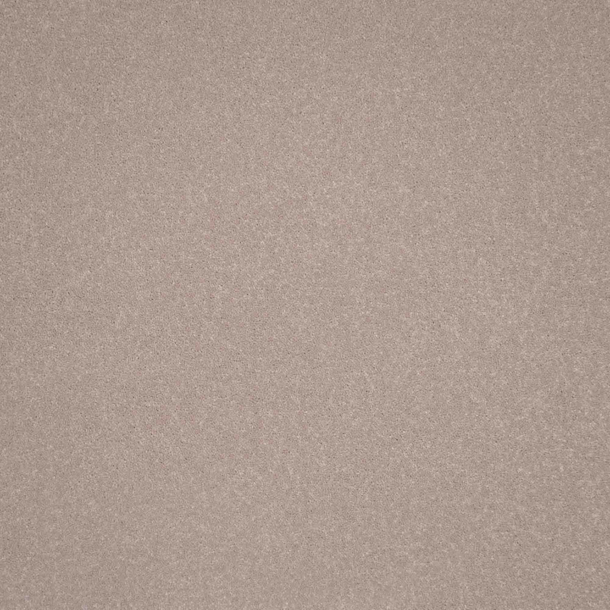 Elegance Carpet