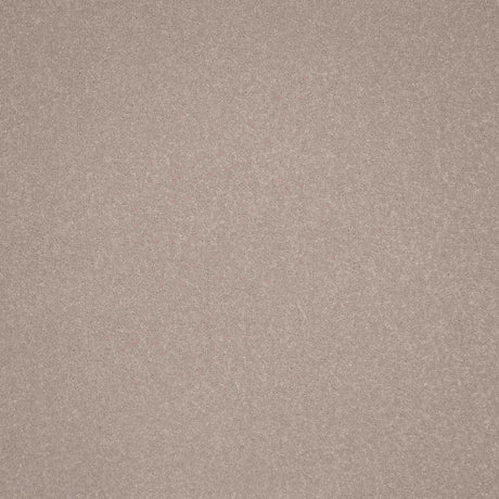 Elegance Carpet