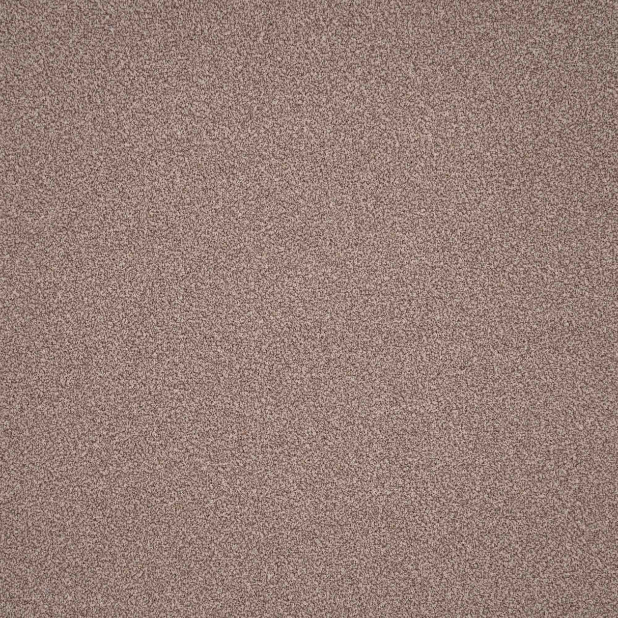 Elegance Carpet