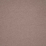 Elegance Carpet