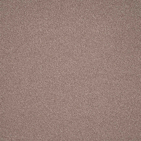 Elegance Carpet