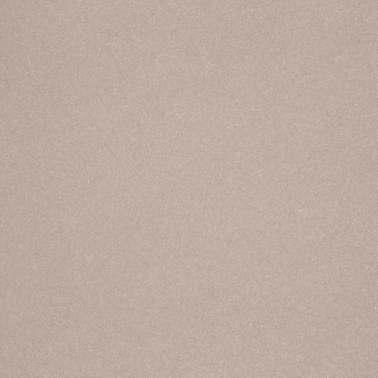 Elegance Carpet
